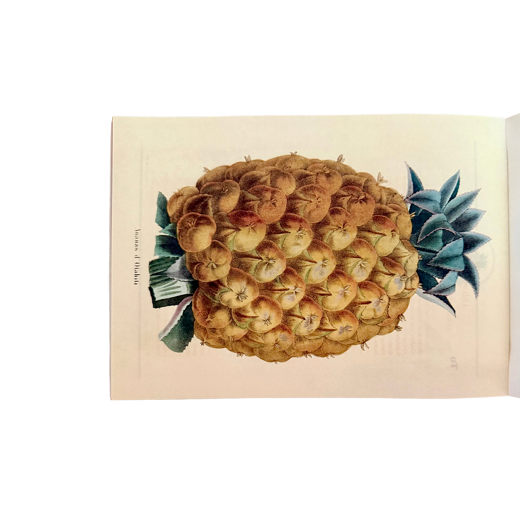 100 Writing and Crafting Papers of Fruit