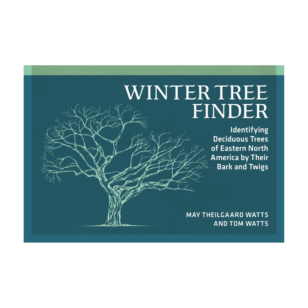 Winter Tree Finder-identifying Deciduous Trees of Eastern North America by Their Bark & Twigs