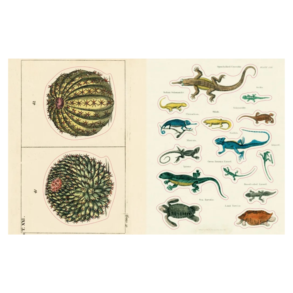 The John Derian Sticker Book II