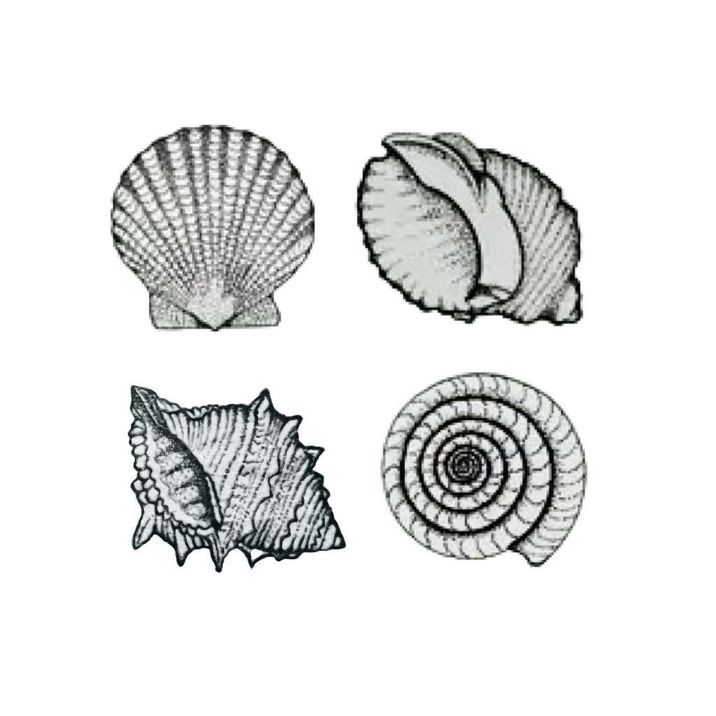 Wooden Rubber Stamp · Four Shells