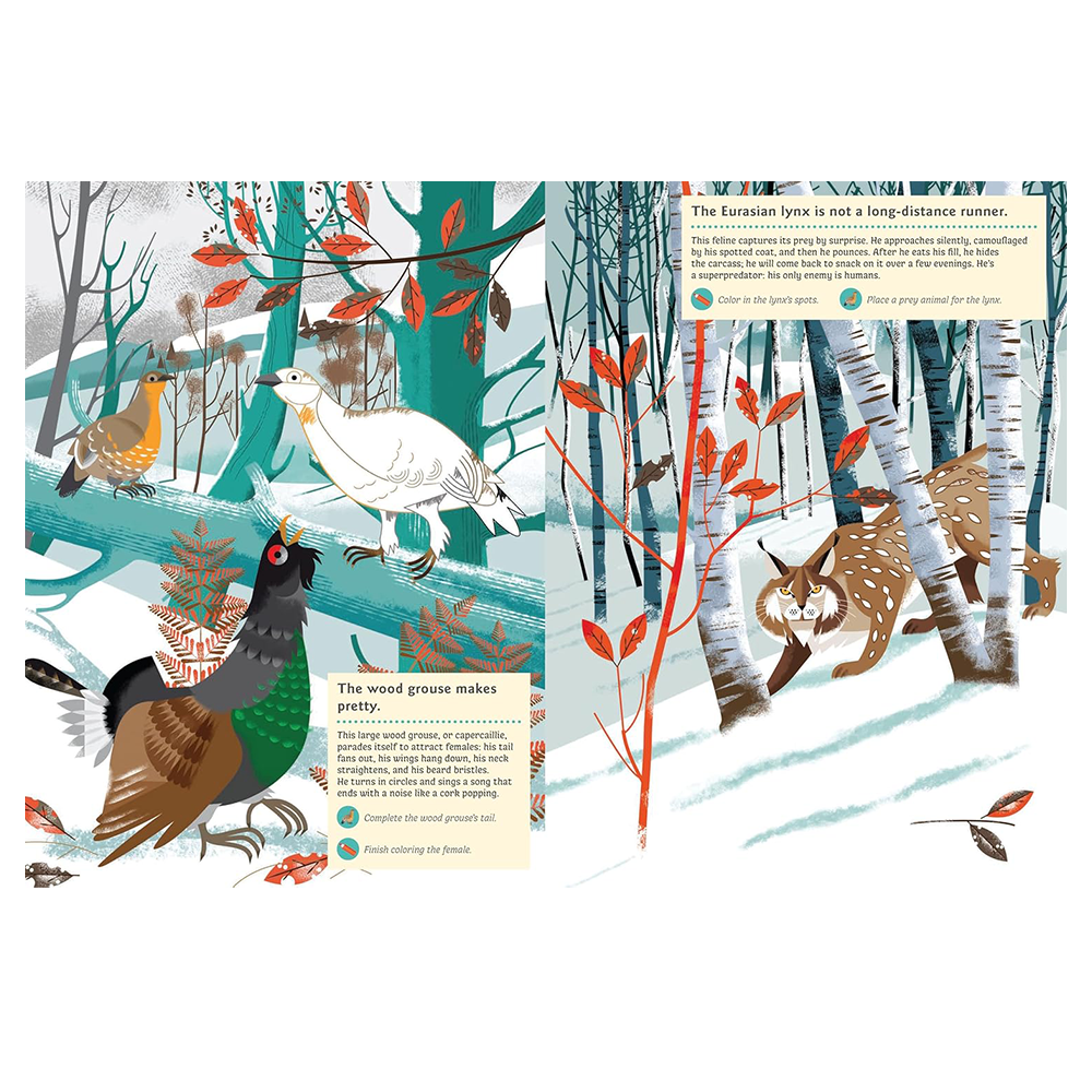 My Nature Sticker Activity Book · Animals of the Mountains