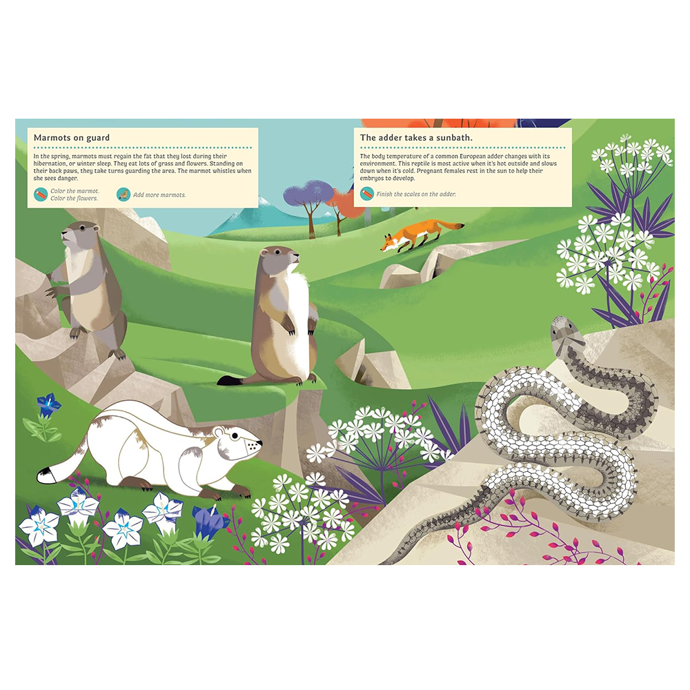 My Nature Sticker Activity Book · Animals of the Mountains