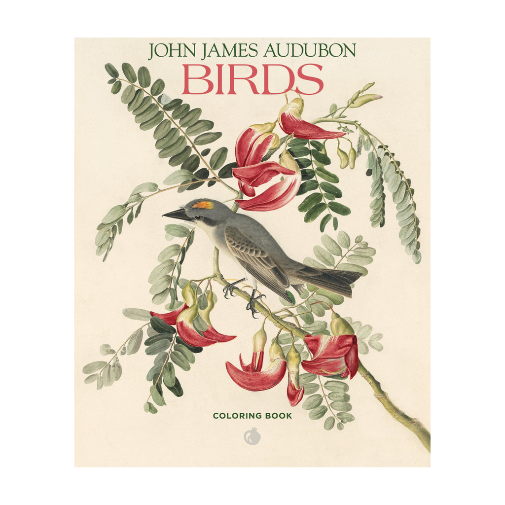 Birds Coloring Book