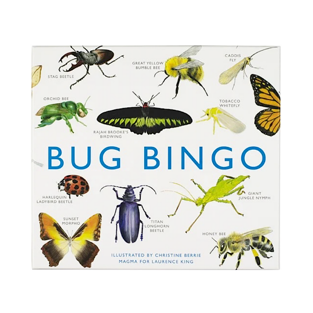 Bug Bingo