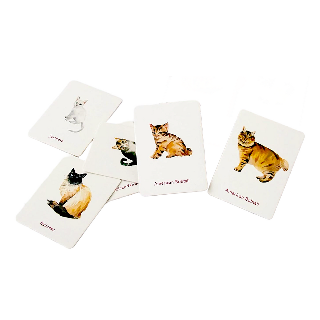 Cats and Kittens A Memory Game