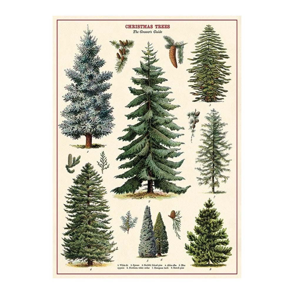 Cavallini & Co. Decorative Wrapping Paper Sheet · Christmas Trees