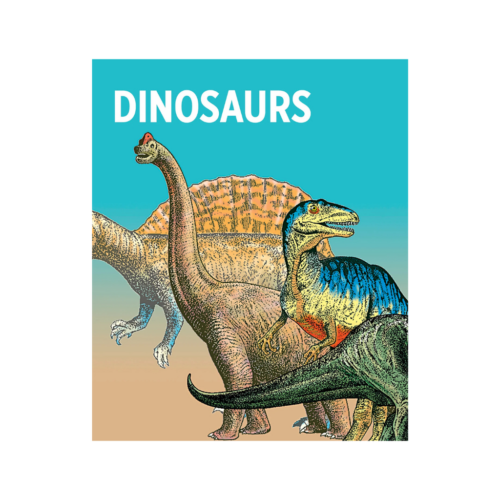 Dinosaur Knowledge Cards