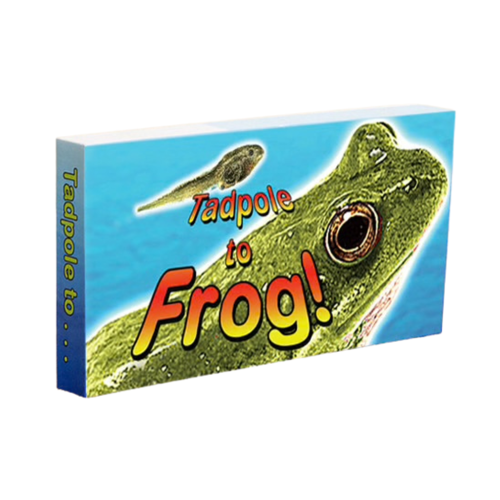Tadpole To Frog! Animation Flipbook