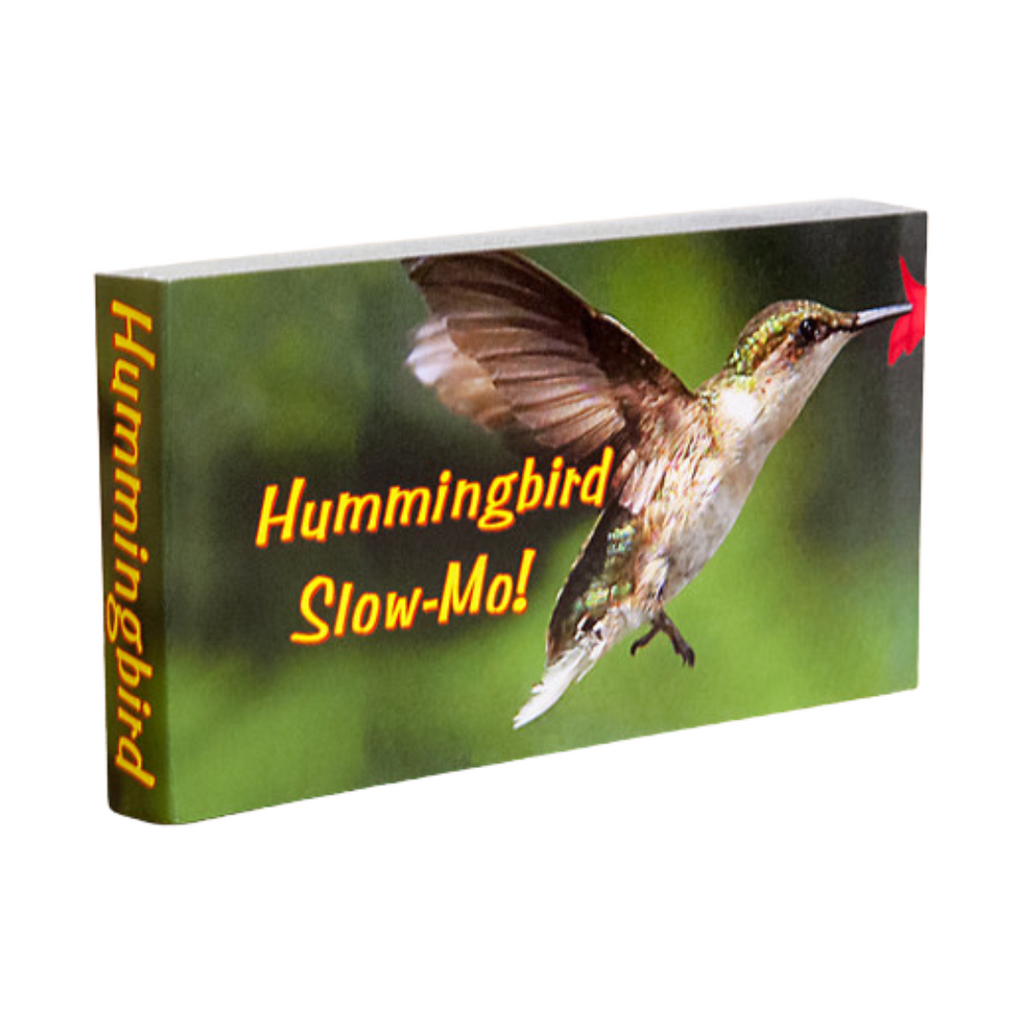 Hummingbird Animation Flipbook