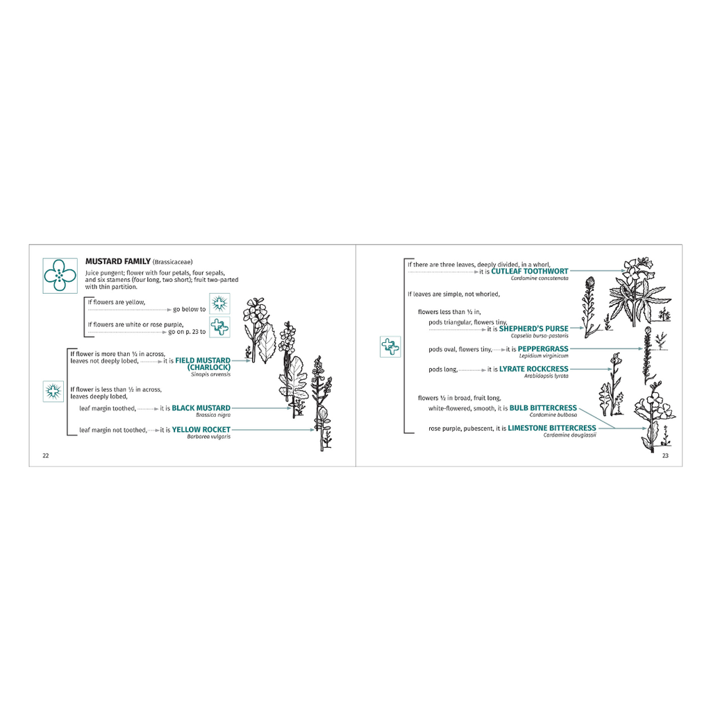 Flower Finder · Identifying Wildflowers of the Midwest and Northeast by May Theilgaard Watts