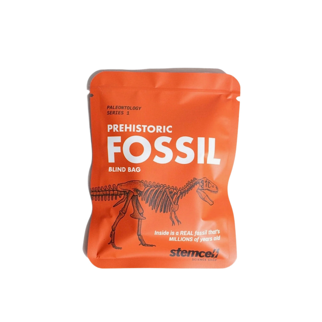 Fossil Blind Bag