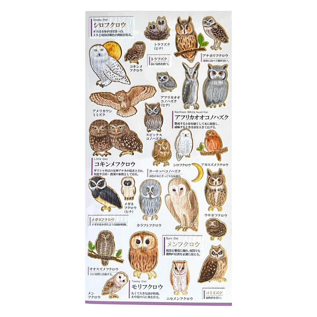 Goldfoil Sticker Sheet · Owls