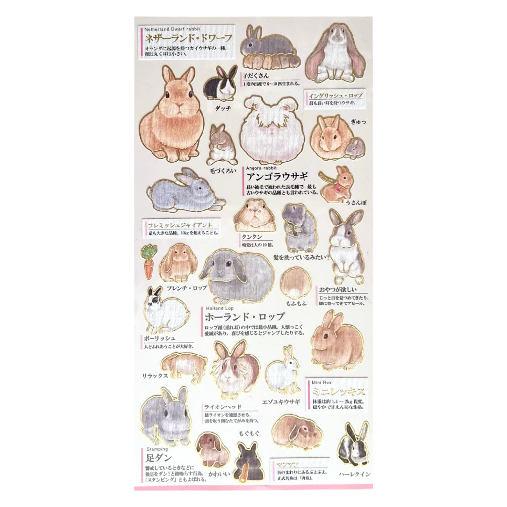 Goldfoil Sticker Sheet · Rabbits