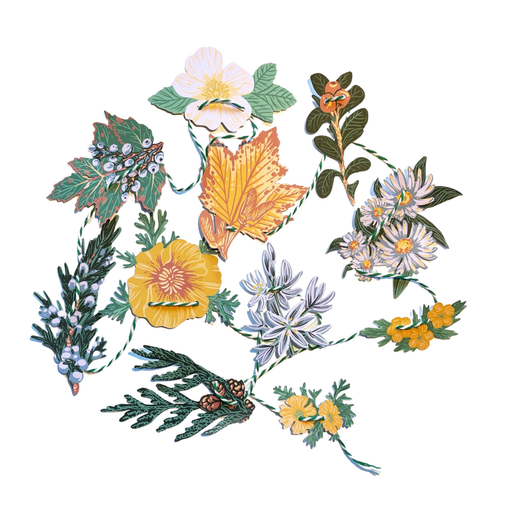 Hissing Mink Mini Decorative Garland · Native Plants of the Pacific Northwest