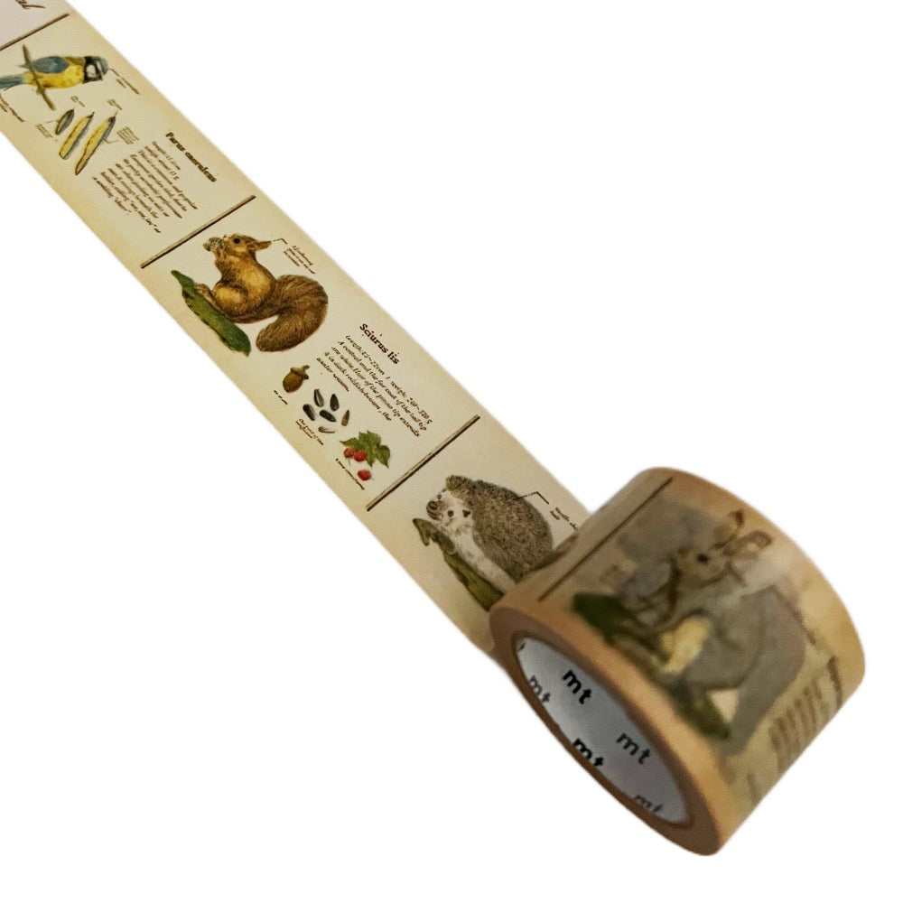 Japanese Masking Tape · Encyclopedia of Animals