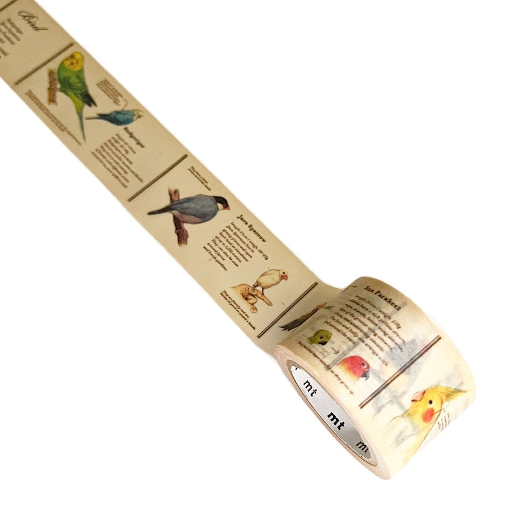 Japanese Masking Tape · Encyclopedia of Birds