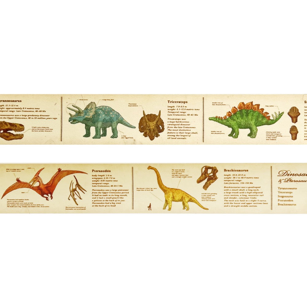 Japanese Masking Tape · Encyclopedia of Dinosaurs