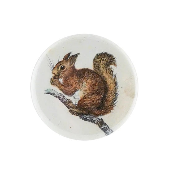 John Derian Hand Mirror · Little Baby Squirrel