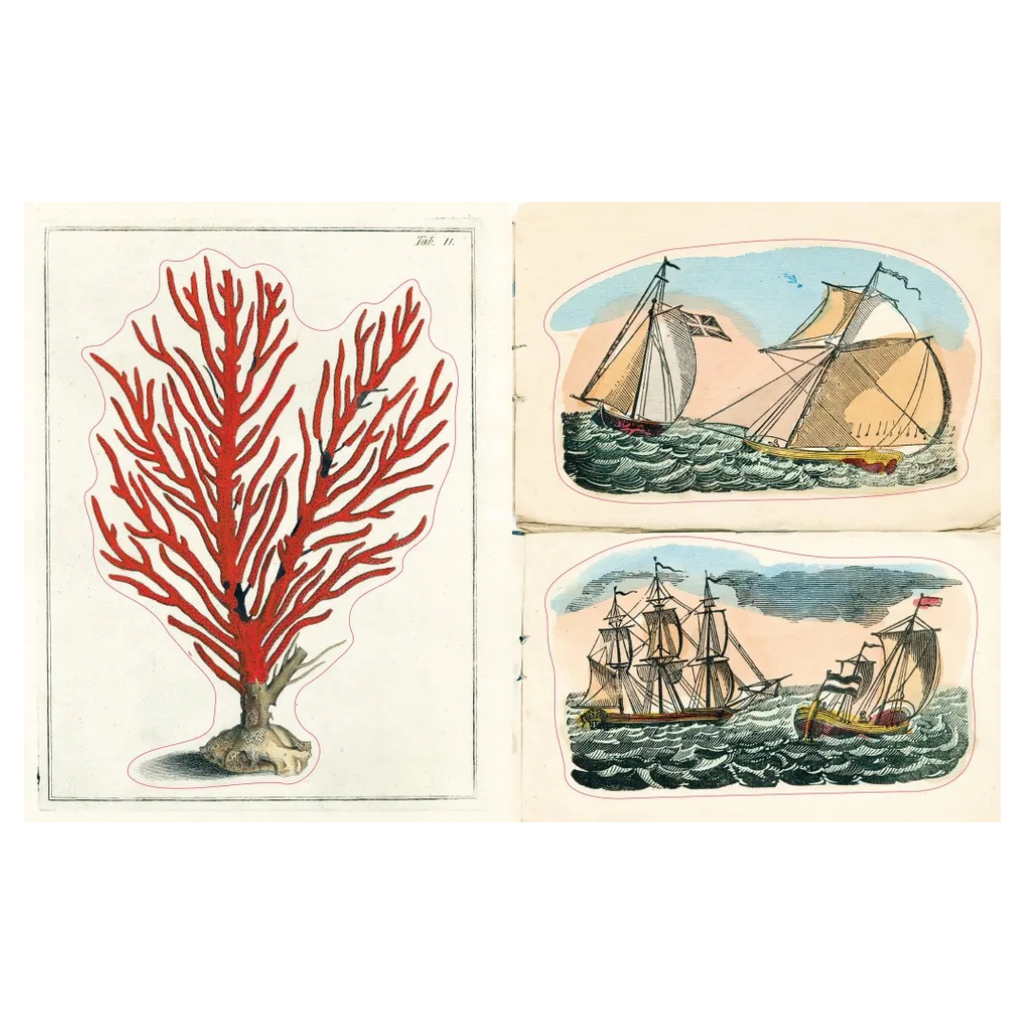 The John Derian Sticker Book II