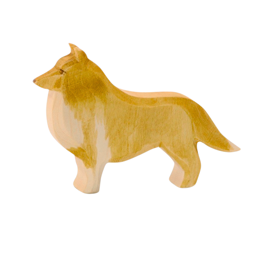 Ostheimer Collie