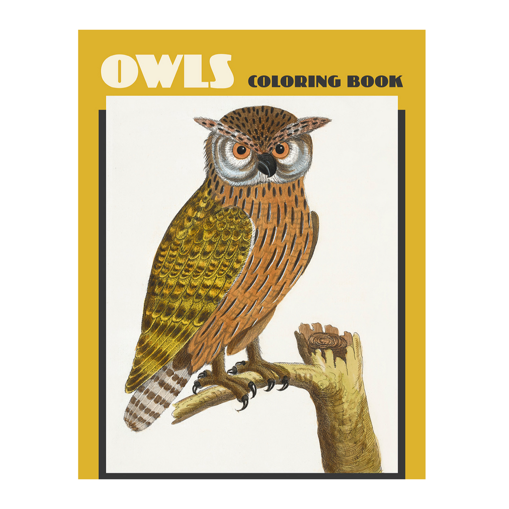 Owls Coloring Book