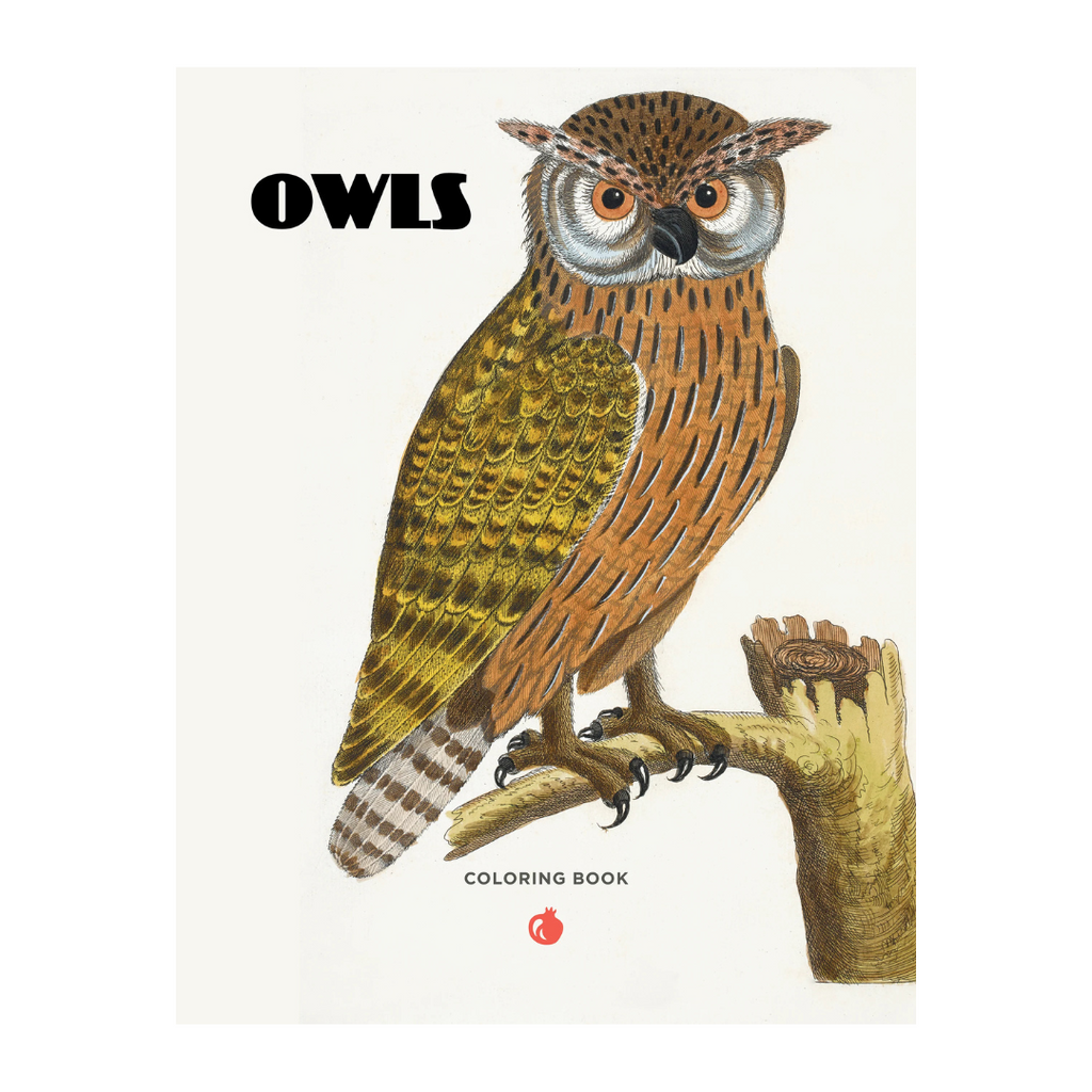 Owls Coloring Book