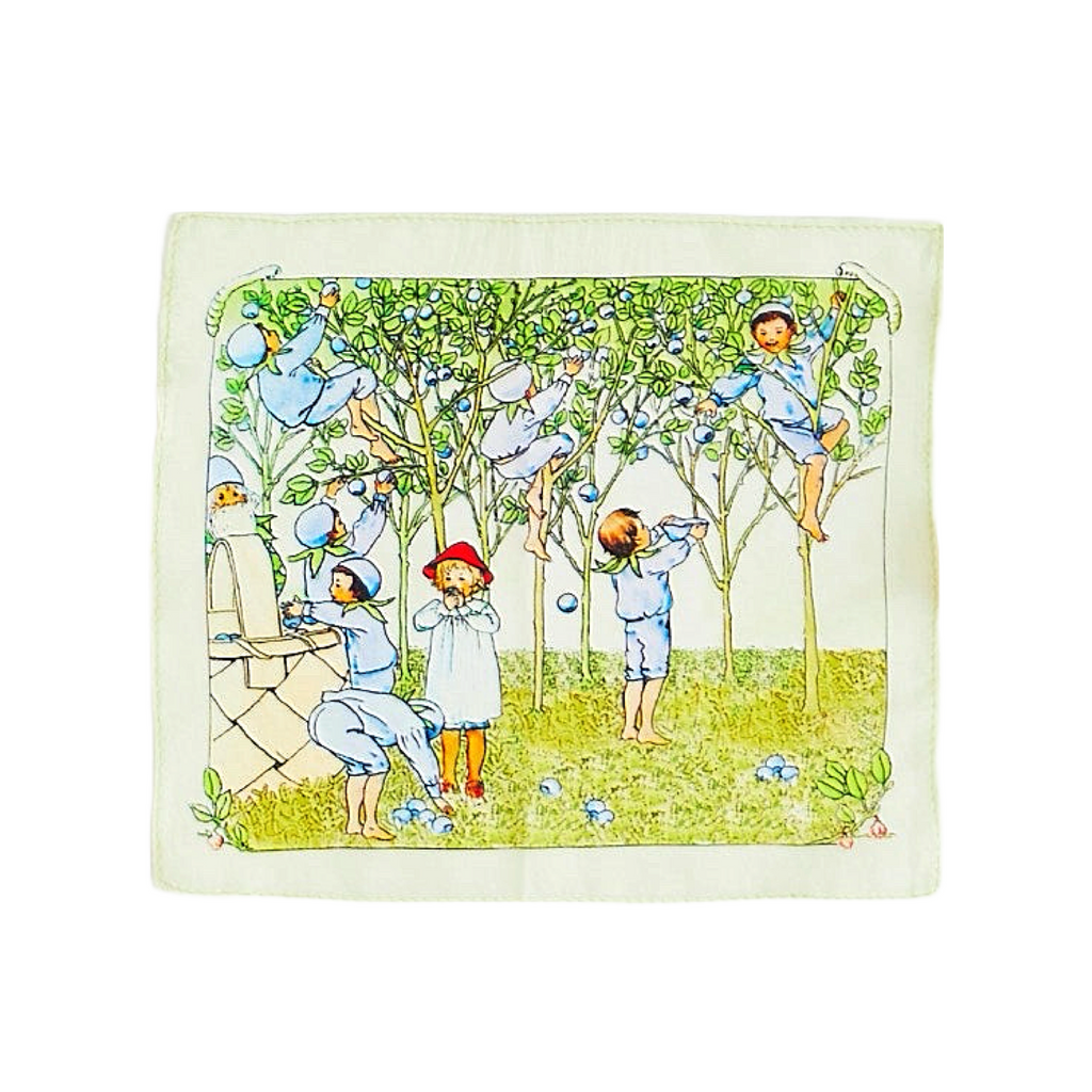 Sarah's Silks Mini Mini Seek & Find Play Silk · Elsa Beskow's Peter in Blueberry Land