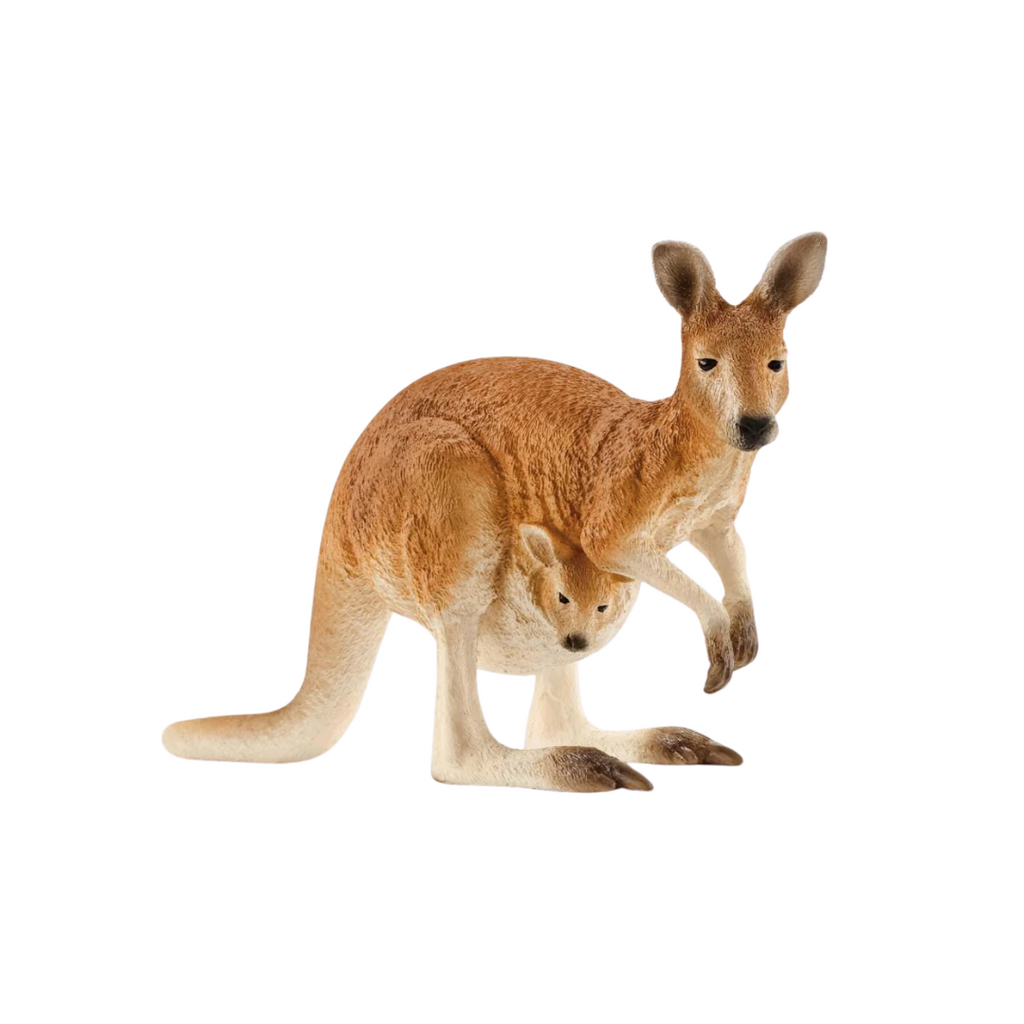 Schleich Kangaroo