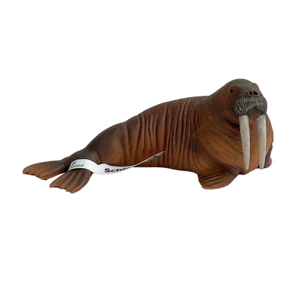 Schleich Walrus