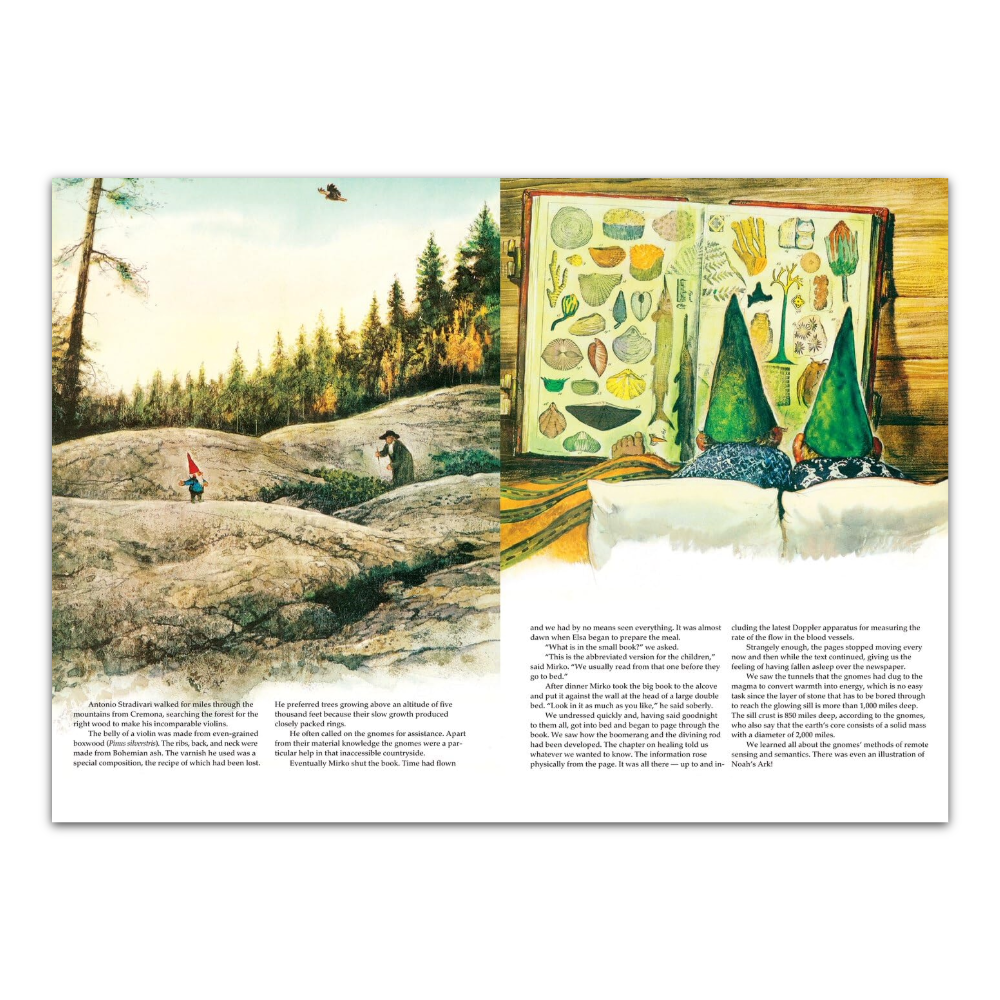 Secrets of the Gnomes by Wil Huygen