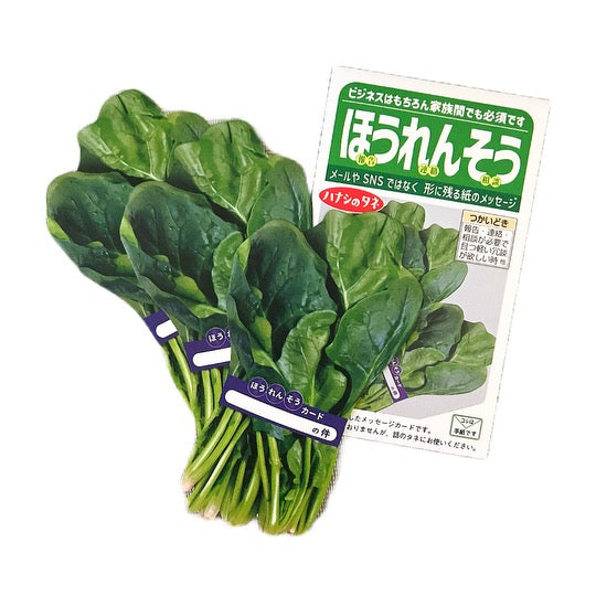 2 Piece Spinach Greeting Card Set