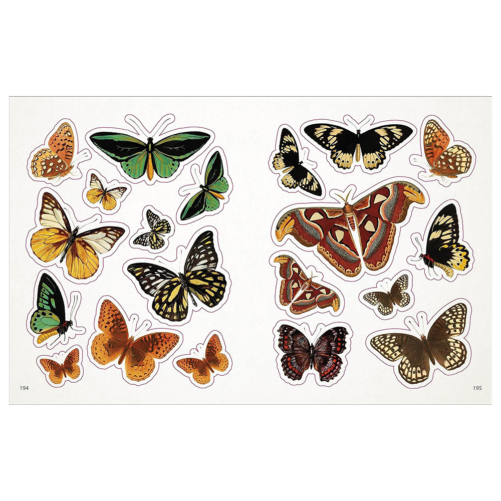 The Bees, Birds & Butterflies Sticker Anthology