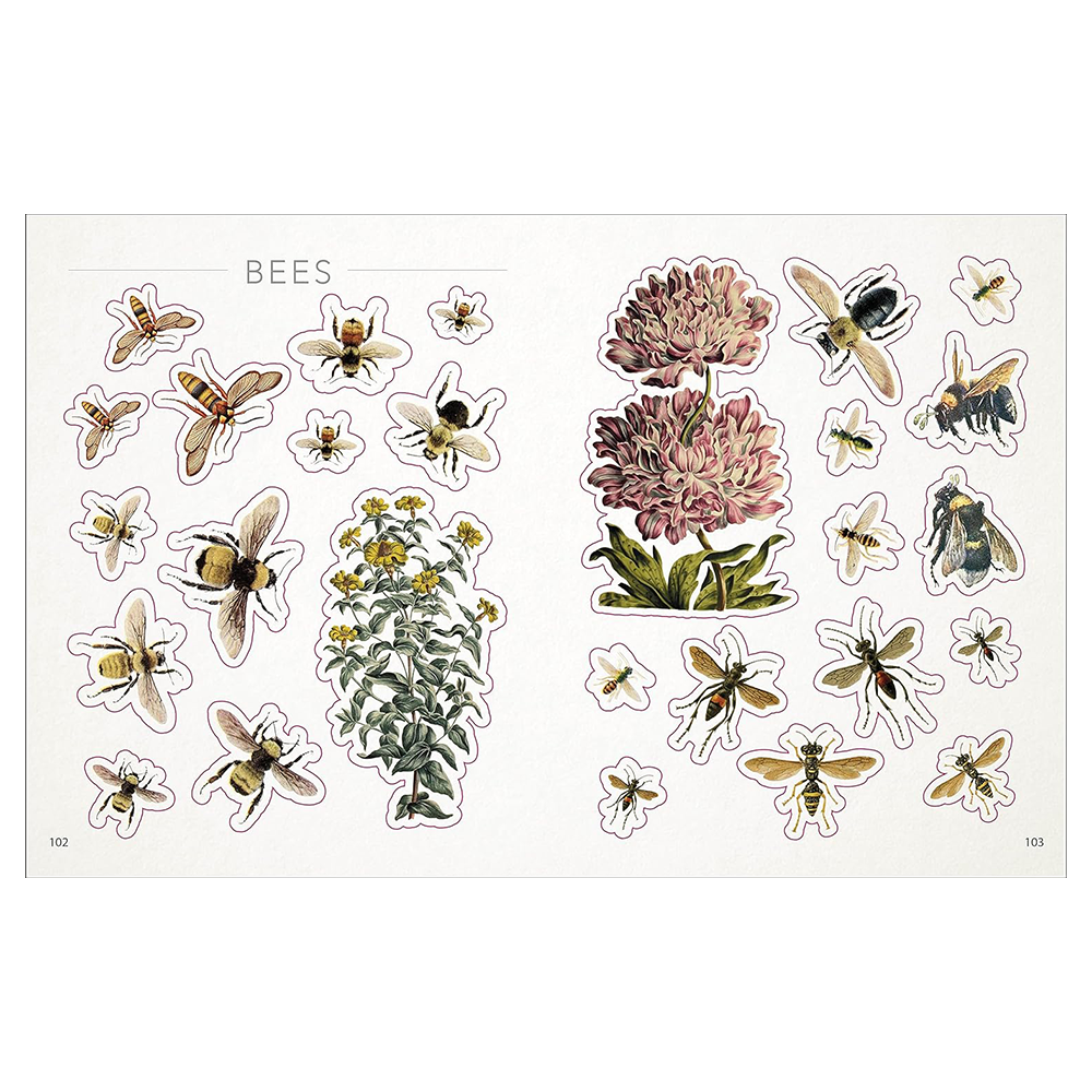 The Bees, Birds & Butterflies Sticker Anthology