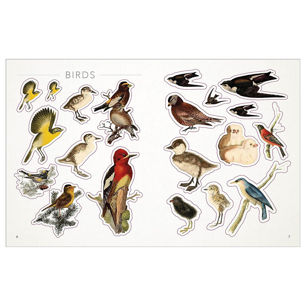 The Bees, Birds & Butterflies Sticker Anthology