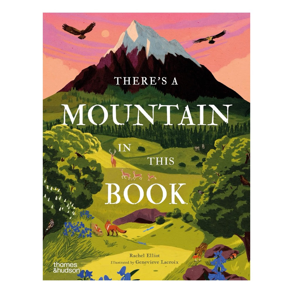 There's a Mountain in This Book by Rachel Elliot