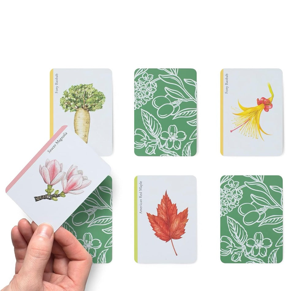 Tree Families: A Botanical Card Game