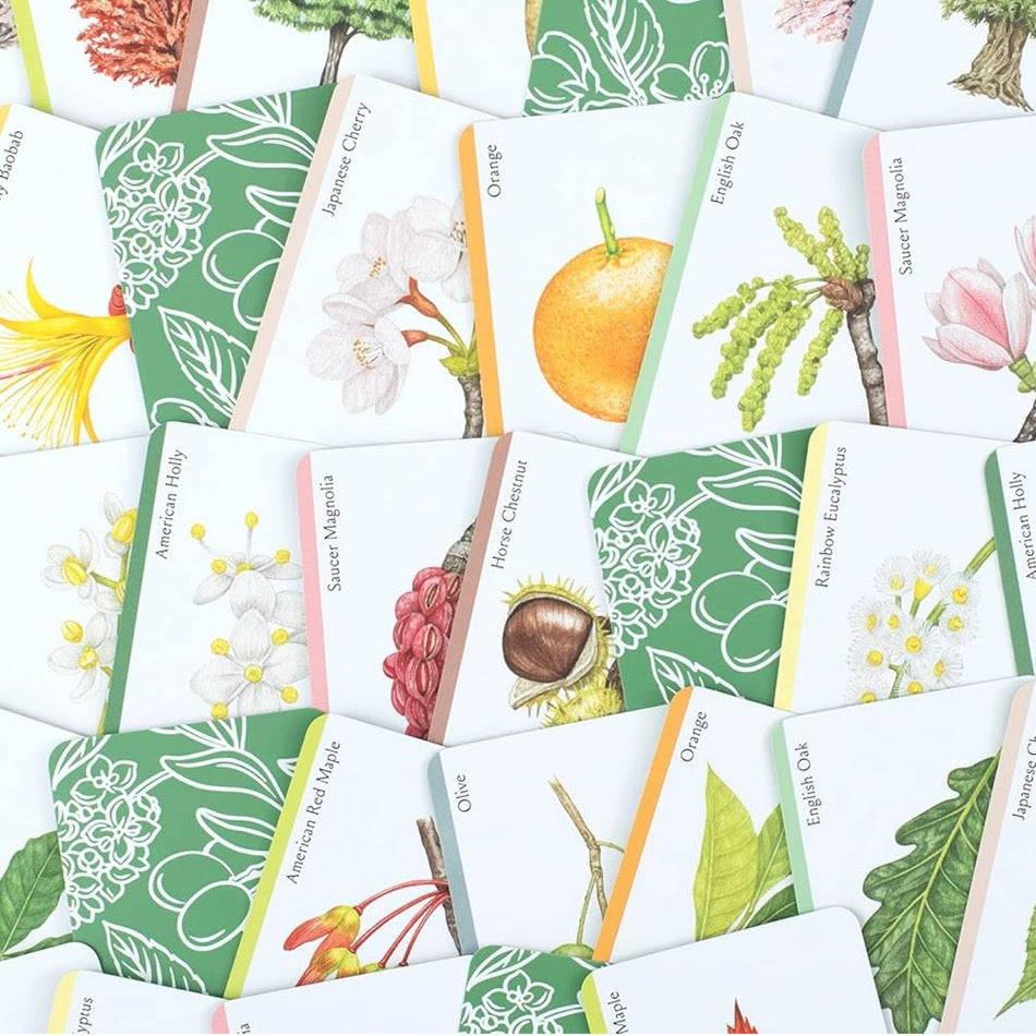 Tree Families: A Botanical Card Game