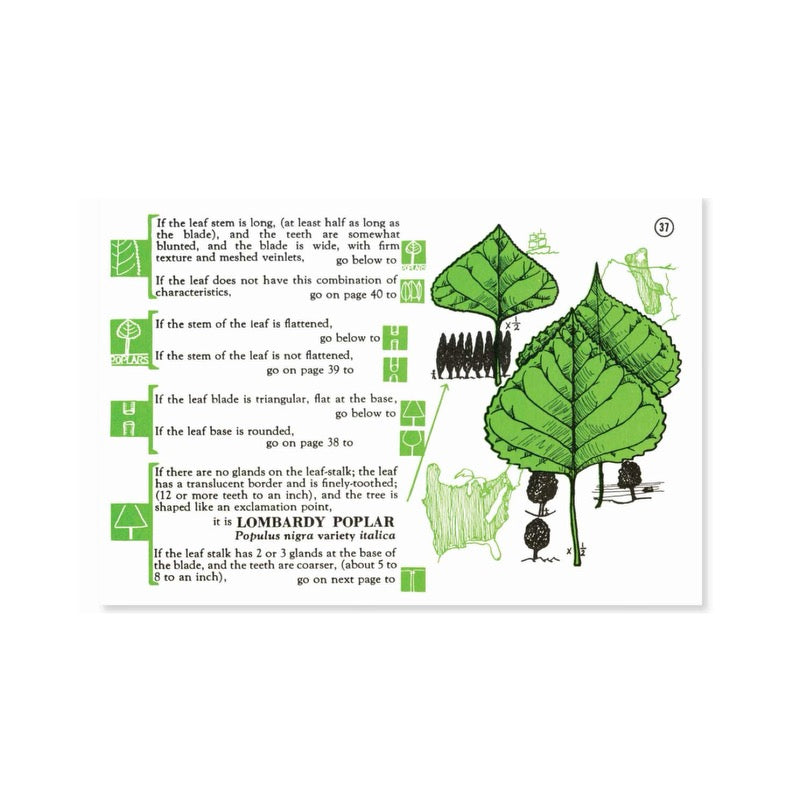 Tree Finder: A Manual for Identification of Trees by their Leaves in the Eastern US by May Theilgaard Watts