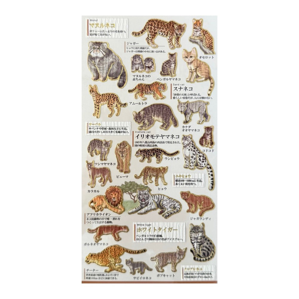 Goldfoil Sticker Sheet · Wild Cats