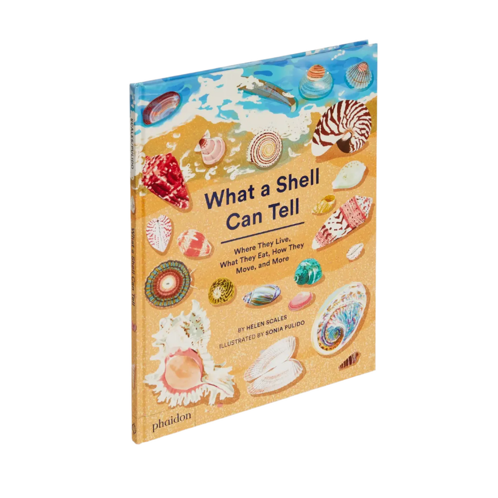 What A Shell Can Tell by Helen Scales