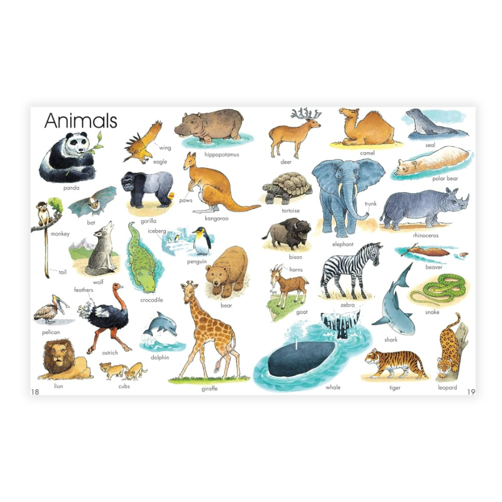 The Usborne First Thousand Words in English