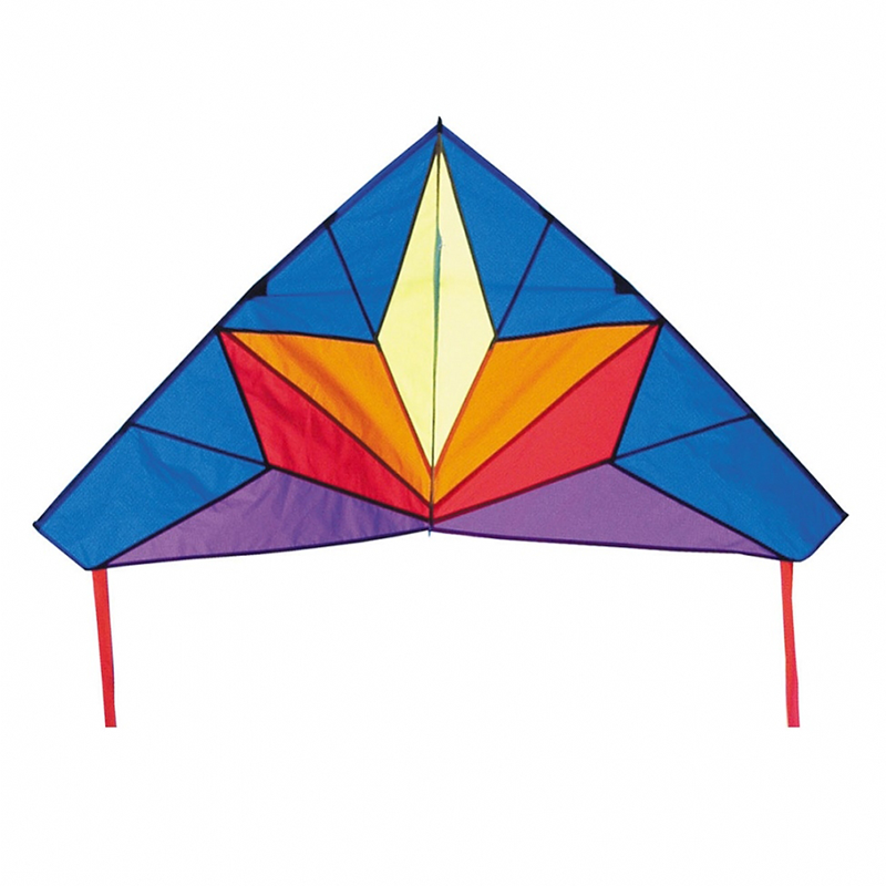 HQ Kites Delta Stern Kite