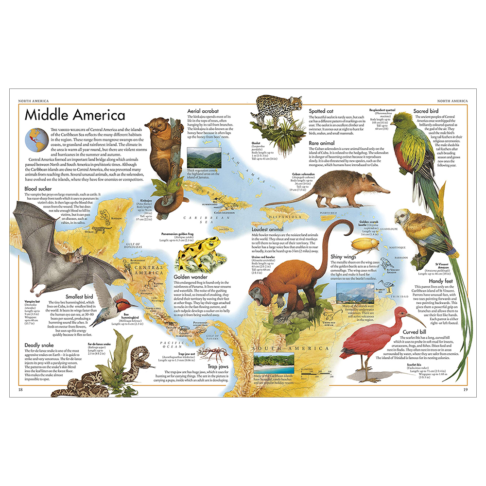 The Animal Atlas: A Pictorial Guide to the World's Wildlife by DK